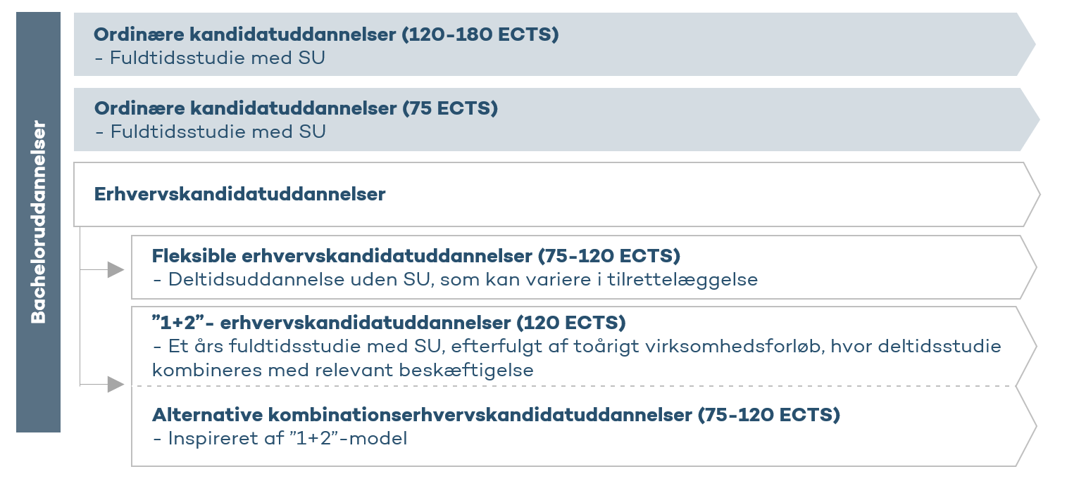 Uddannelsestyper i fremtidens kandidatlandskab Uddannelsestyper i fremtidens kandidatlandskab