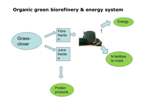 Organic green biorefinery & energy system
